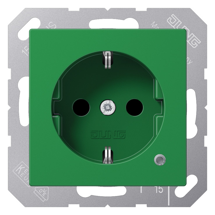 1St. Jung A1520BFKOGN Steckdose m. Funktionsanz.