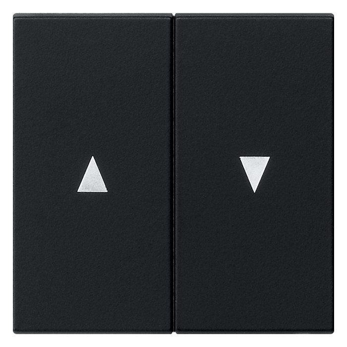 1St. Gira 0294005 Wippe 2fach Pfeilsymbol System 55 Schwarz matt