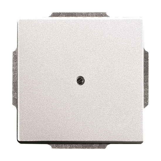 1St. Busch-Jaeger 1742-83 Blindzentralscheibe, mit Tragring Busch-axcent alusilber