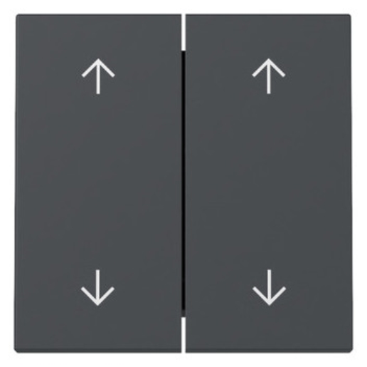 1St. Gira 329728 Wippe 2-fach Pfeile System 55 anthrazit