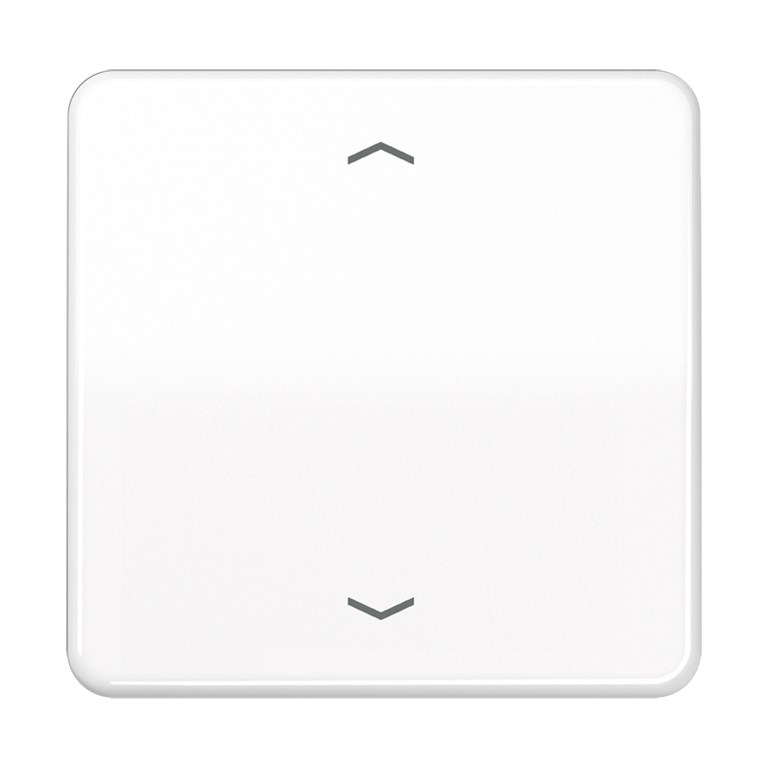 1St. Jung CD1700PWW Steuertaste Standard Symbole Pfeile CD 1700 P WW