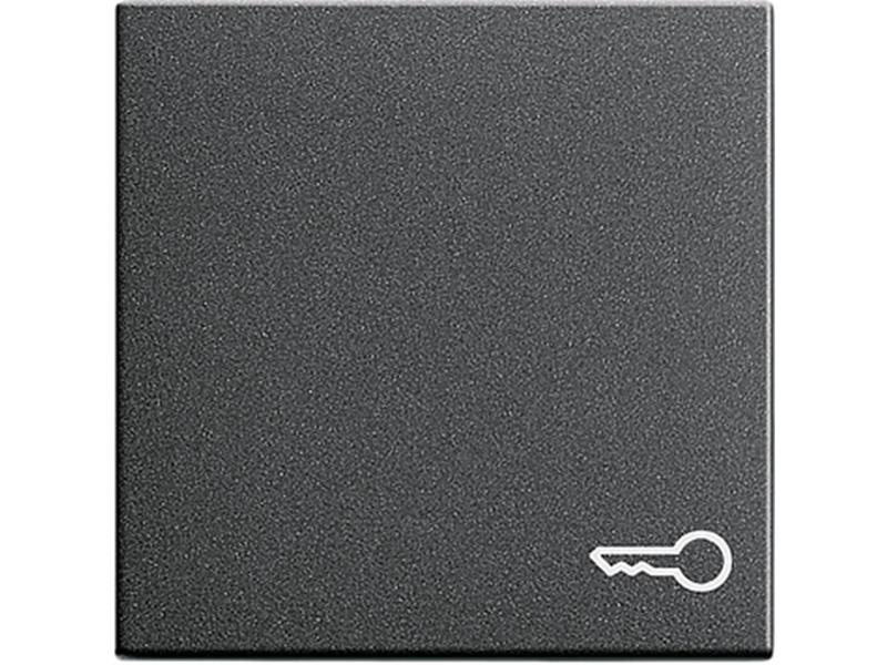 1St. Gira 028728 Wippe Symbol Schlüssel System 55 Anthrazit