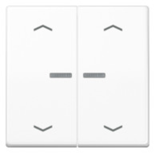 1St. Jung BT AS 17102 P WW Jung HOME Taster 2fach, mit Pfeilsymbole