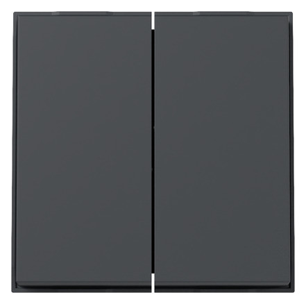 1St. Gira 329567 Wippe 2-fach Gira TX_44 (WG UP) anthrazit