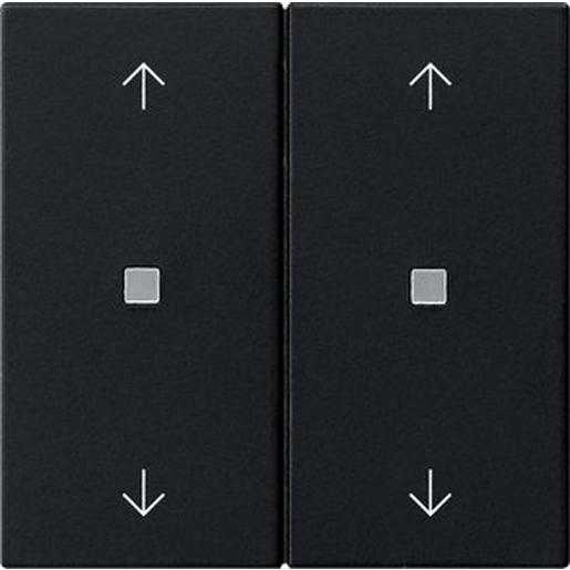 1St. Gira 5386005 Wippe 2f Pfeile Kontrollf. System 55