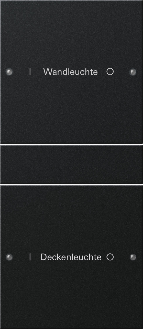 1St. Gira 2202005 Wippenset 2f (1+1) beschr. System 55 Schwarz m(lack.)