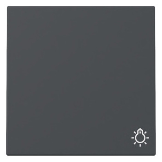 1St. Gira 328528 Wippe Symbol Licht System 55 anthrazit