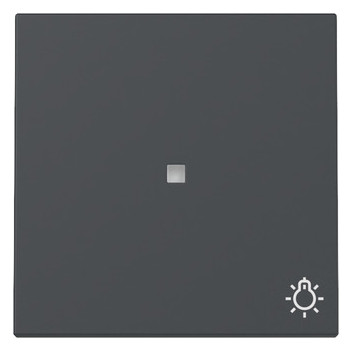 1St. Gira 367428 Wippe Kontrollfenster + Symbol Licht System 55 anthrazit