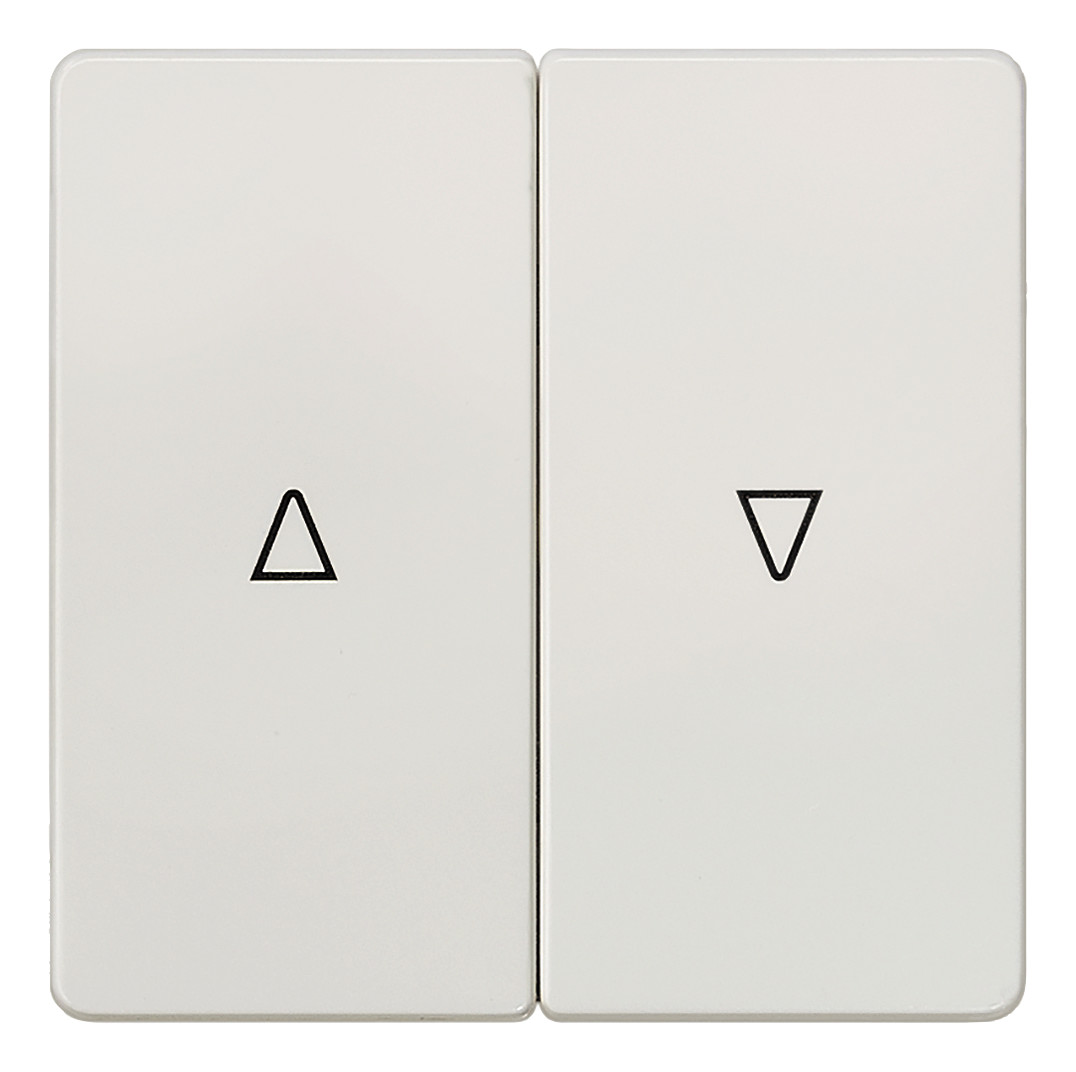 1St. Siemens 5TG6214 DELTA i-system Wippe 2-fach mit Jalousie