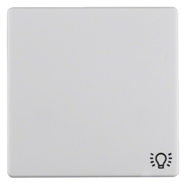 1St. Berker 16206049 Wippe mit Aufdruck Symbol Licht Q.1/Q.3 polarweiß, samt