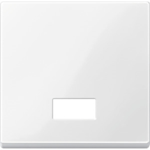 1St. Merten 432819 Wippe mit rechteckigem Symbolfenster, polarweiß glänzend, System M