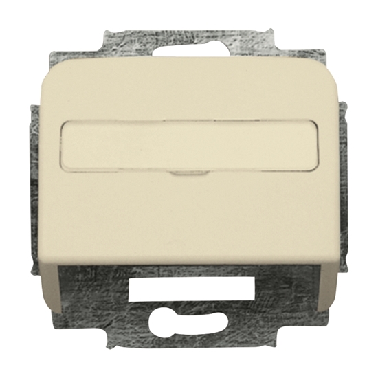 1St. Busch-Jaeger 1758-212 Zentralscheibe, mit Tragring Busch-Duro 2000 SI cremeweiß