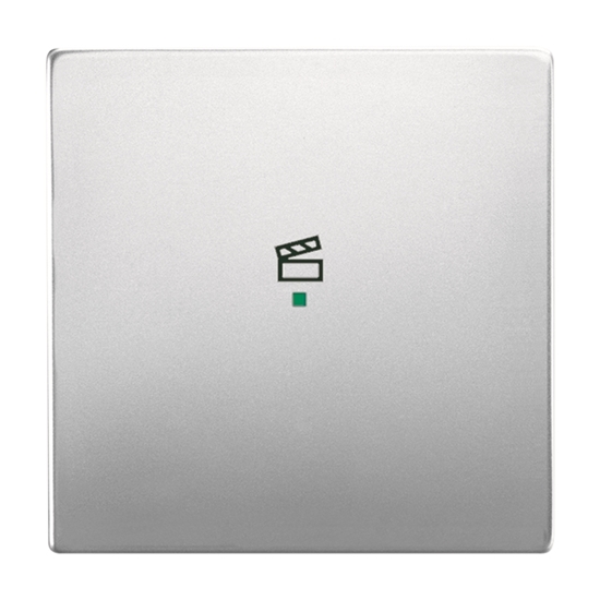 1St. Busch-Jaeger 6233-10-866 Wippe, 1-fach, mit Symbol Szene Busch-free@home edelstahl