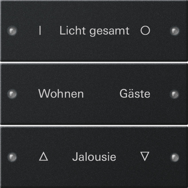 1St. Gira 2203005 Wippenset 3f beschr. System 55 Schwarz m(lack.)
