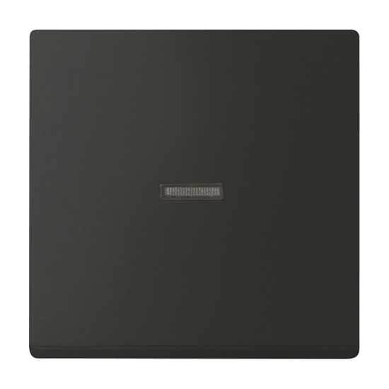 10St. Busch-Jaeger 1789 N-885 Wippe mit Aufdruck, mit kleiner transparenter Kalotte carat schwarz matt