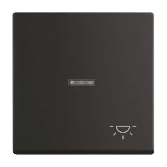 1St. Busch-Jaeger 1789 LI-885 Wippe mit Aufdruck Licht, mit kleiner transparenter Kalotte carat schwarz matt