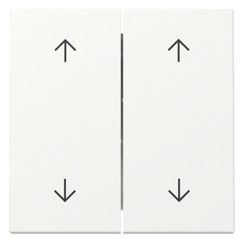 1St. Gira 329727 Wippe 2-fach Pfeile System 55 reinweiß seidenmatt