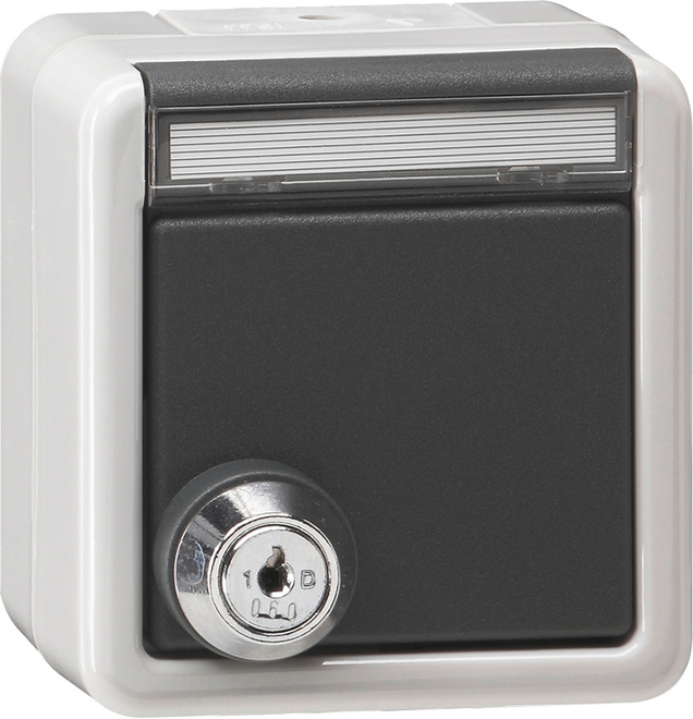 1St. Gira 456930 Steckdose 16A 250V mit Klappdeckel, Schloss und Beschriftungsfeld mit gleichen Schließungen Grau
