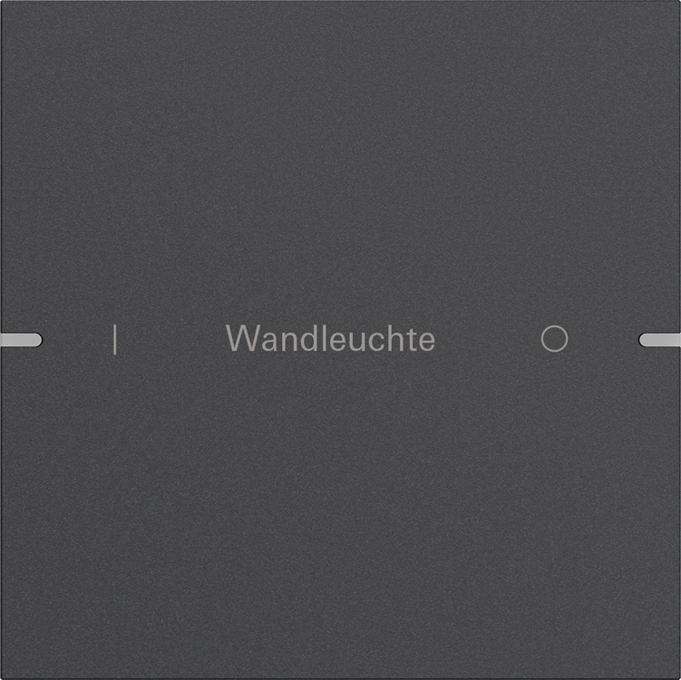 1St. Gira 5031928 Wippenset 1f indiv. Tastsens.4 TS4 Anthrazit(lack.)