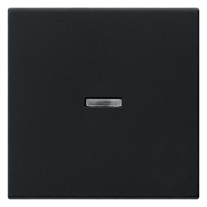 1St. Gira 0290005 Wippe Kontrollf. System 55 Schwarz matt