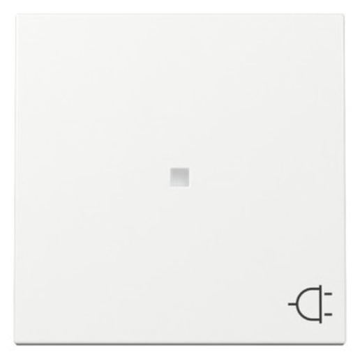 1St. Gira 329103 Wippe Kontrollfenster + Symbol Steckd. System 55 reinweiß glänzend