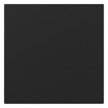 1St. Gira 3496005 Wippe gerade System 55 schwarz matt