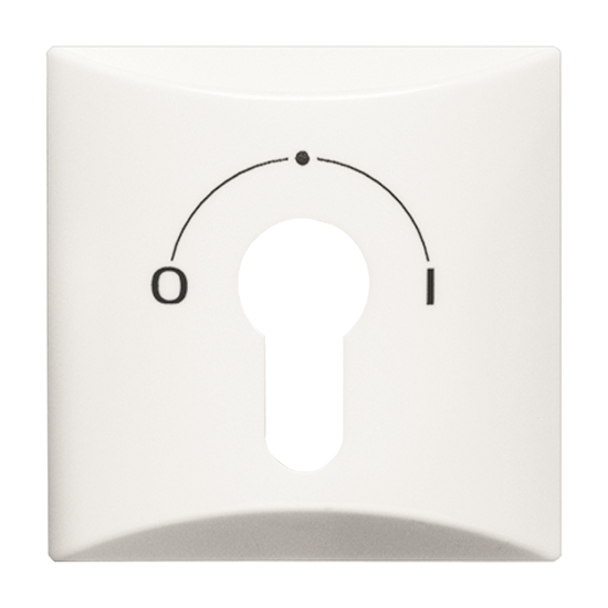 1St. Busch-Jaeger 2155 SLPZ-34 Zentralscheibe, mit Aufdruck Allwetter 44 (IP 44) alpinweiß