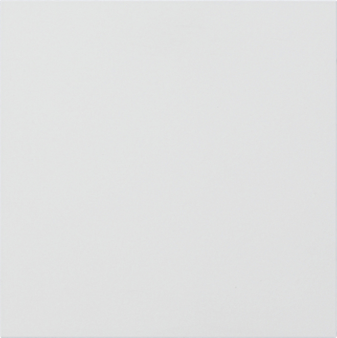 1St. Gira 5554902 Info-/Blindmodul System 106 Verkehrsweiß(lack.)