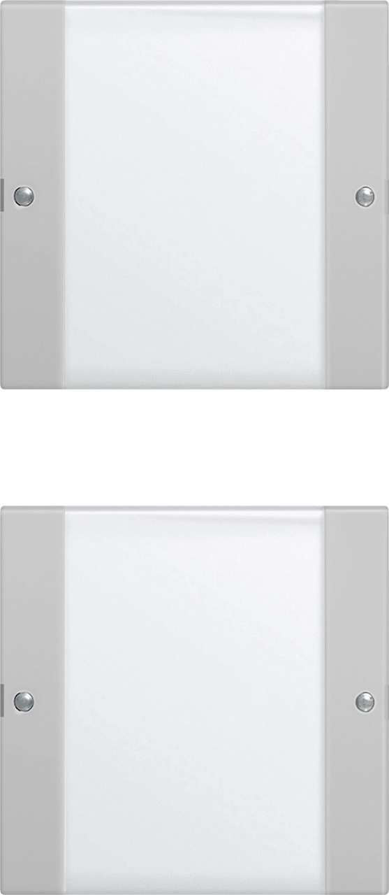 1St. Gira 2132015 Wippenset 2f (1+1) BSF System 55 Klar/Grau m