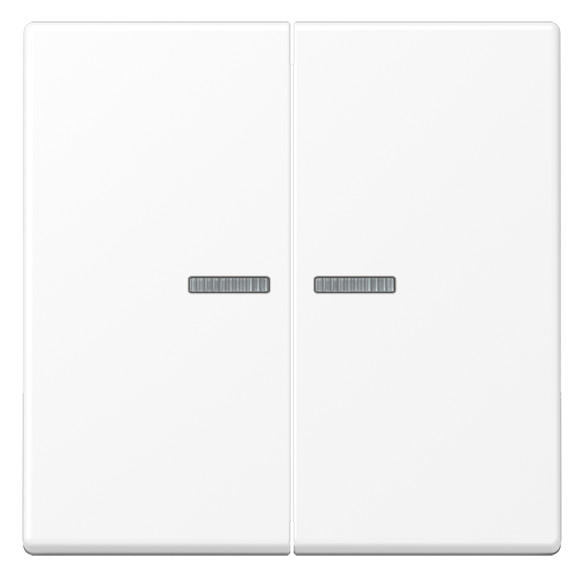 1St. Jung BT A 17102 WWM Jung HOME Taster 2fach, Thermoplast lack