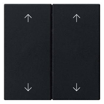 1St. Gira 5387005 Wippe 2f Pfeile System 55 Schwarz m