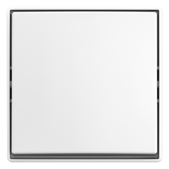 1St. Busch-Jaeger 2601/6 J-524 Wippschalter Aus-/Wechselschaltung Auputz alpinweiß 2TKA00005521