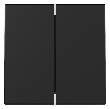 1St. Gira 3295005 Wippe 2-fach System 55 Schwarz matt