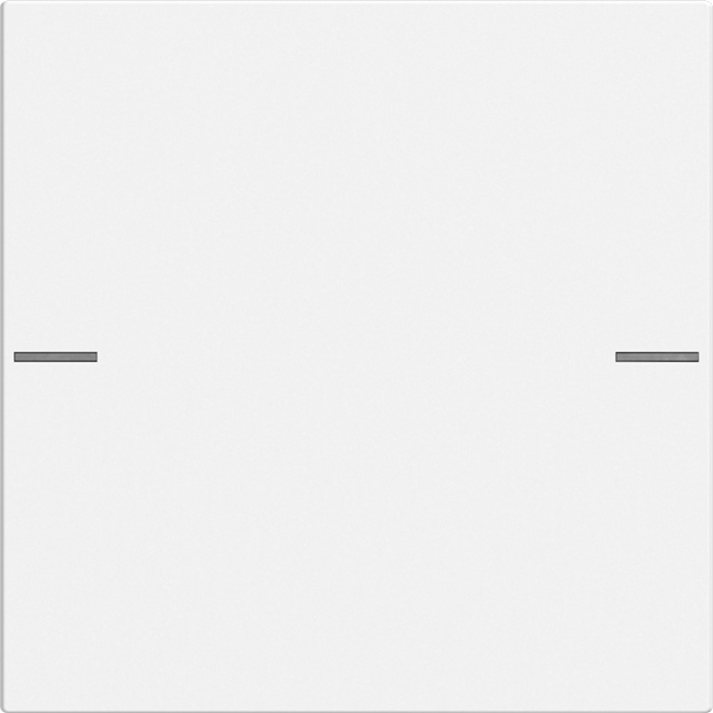 1St. Gira 575127 Wippenset 1fach für Tastsensor, Reinweiß seidenmatt