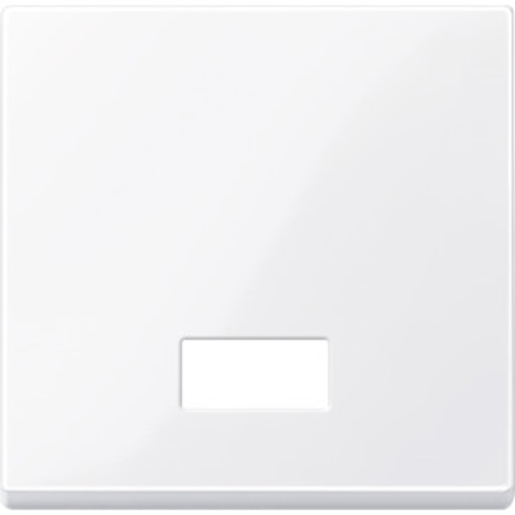 1St. Merten 432825 Wippe mit rechteckigem Symbolfenster, aktivweiß glänzend, System M