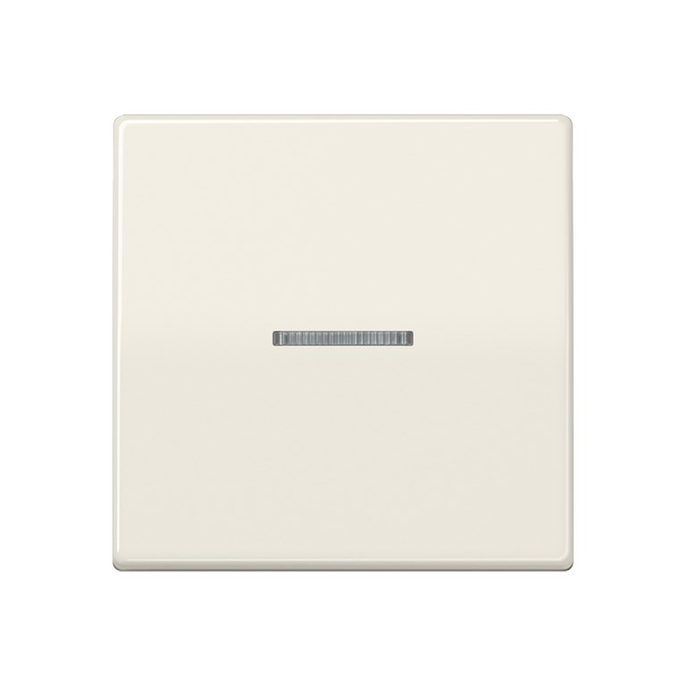 1St. Jung AS591KO5 Wippe Linse Lichtleiter Zentralplatte für Wipp-Kontrollschalter Tast-Kontrollschalter beleuchtbare Ta