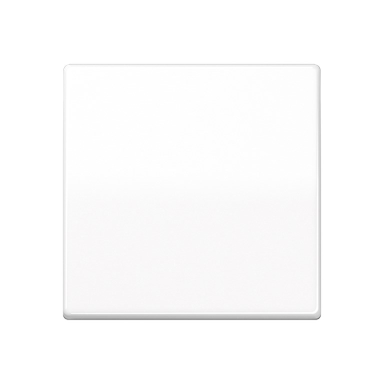 1St. Jung AS591BFWW Wippe Zentralplatte bruchsicher f. Schalter Taster u. Taster BA 1f. AS 591 BF WW 1St. Jung AS591BFWW Wippe Zentralplatte bruchsicher f. Schalter Taster u. Taster BA 1f. AS 591 BF WW