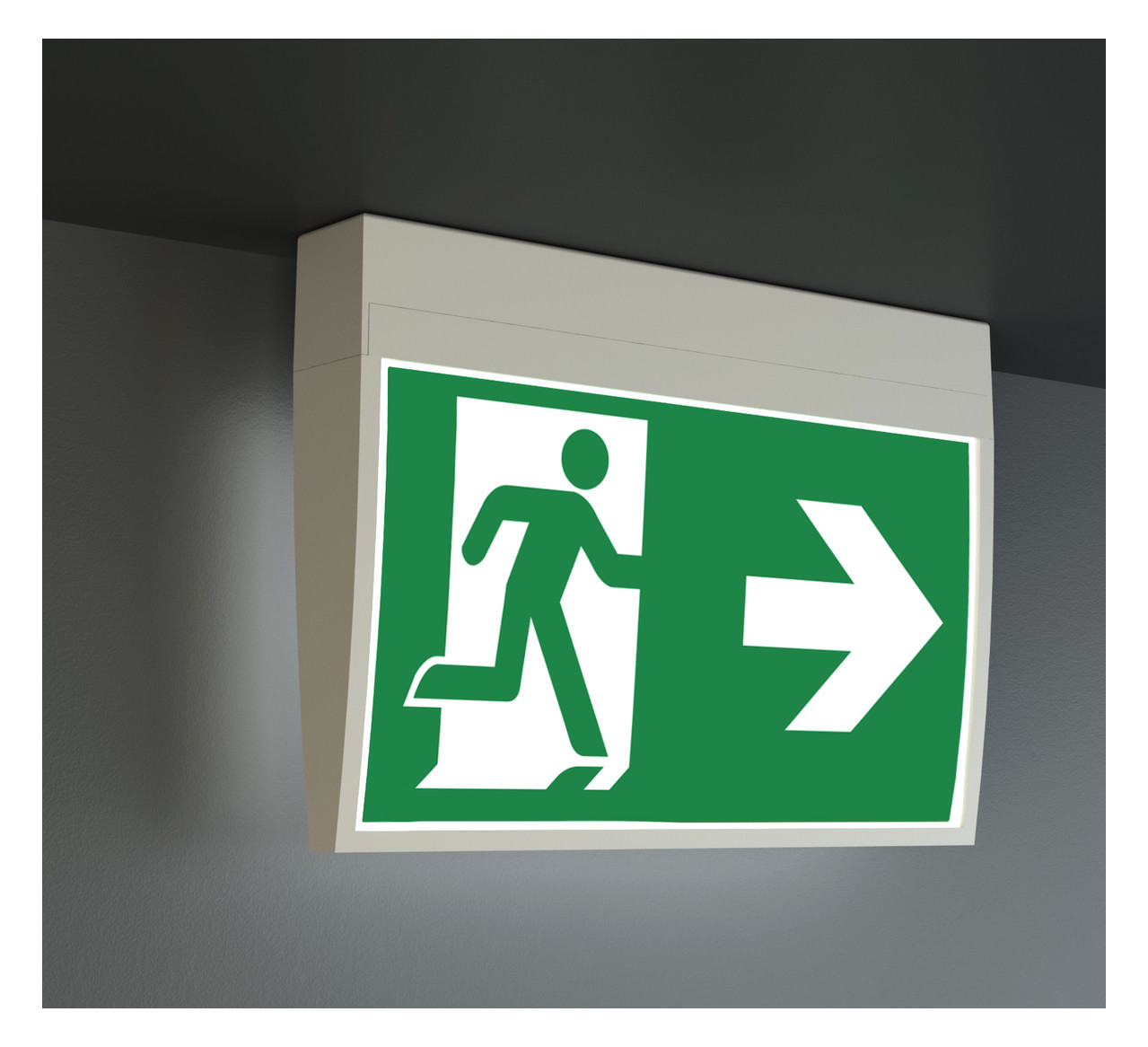 1St. RR-Technik KMU413SC RZ-Leuchte Universal, EB + SC/3