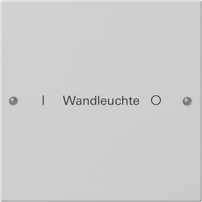 1St. Gira 2201015 Wippenset 1f beschr. System 55 Grau m(lack.)