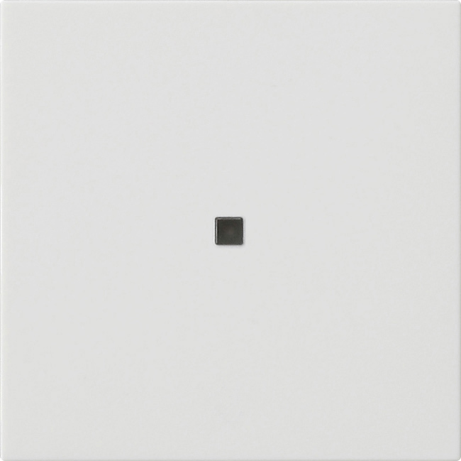 1St. Gira 549527 Gira eNet Funk Bedienaufs. System 55 Reinweiß m