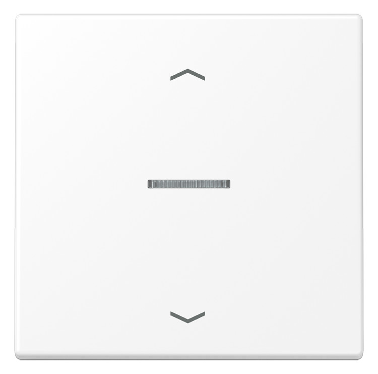 1St. Jung BT LS 17101 P WWM Jung HOME Taster 1fach, mit Pfeilsymbole