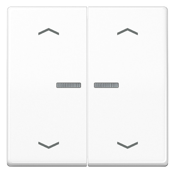 1St. Jung Home Taster 2fach BTA17102PWW m.Pfeilsymbolen