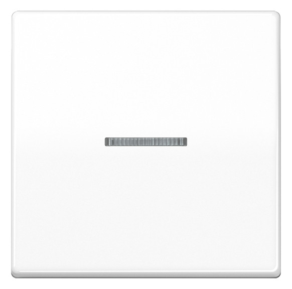 1St. Jung JUNG HOME Taster 1fach BTAS17101WW