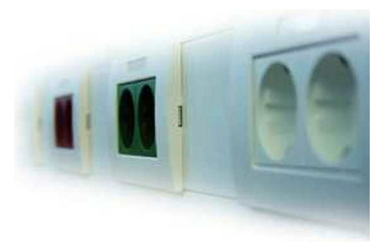 1St. Protec.Class PBRSE2RW Steckdoseneinheit 2-fach rw