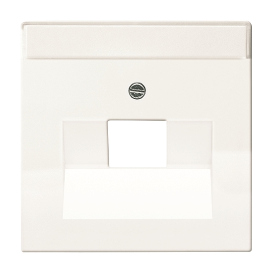 1St. Busch-Jaeger 1803-84 Zentralscheibe für UAE carat studioweiß