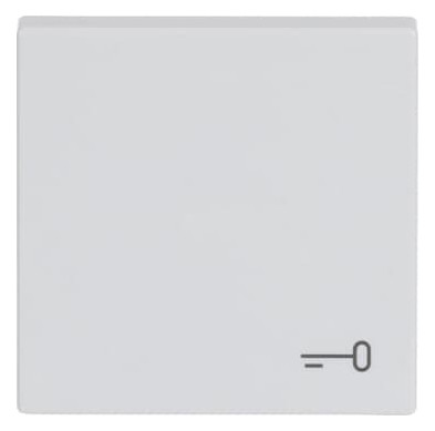 1St. Busch-Jaeger 2520 TR-84 Wippe mit Aufdruck carat studioweiß