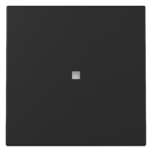 1St. Gira 3290005 Wippe Kontrollfenster System 55 schwarz matt