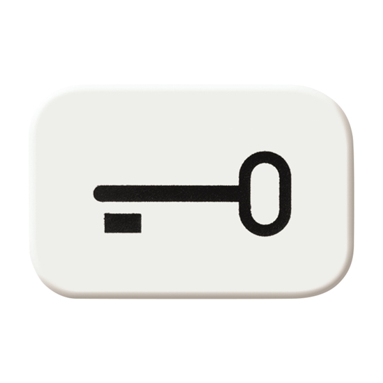 10St. Busch-Jaeger 2525 TR-214 Tastersymbol, Schlüssel Busch-balance SI alpinweiß