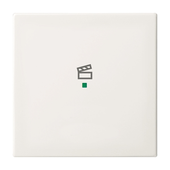 1St. Busch-Jaeger 6233-10-914 Wippe, 1-fach, mit Symbol Szene Busch-free@home Alpinweiß