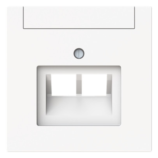 1St. Busch-Jaeger 1803-02-44M Zentralscheibe 2-fach UAE Beschriftungsfeld